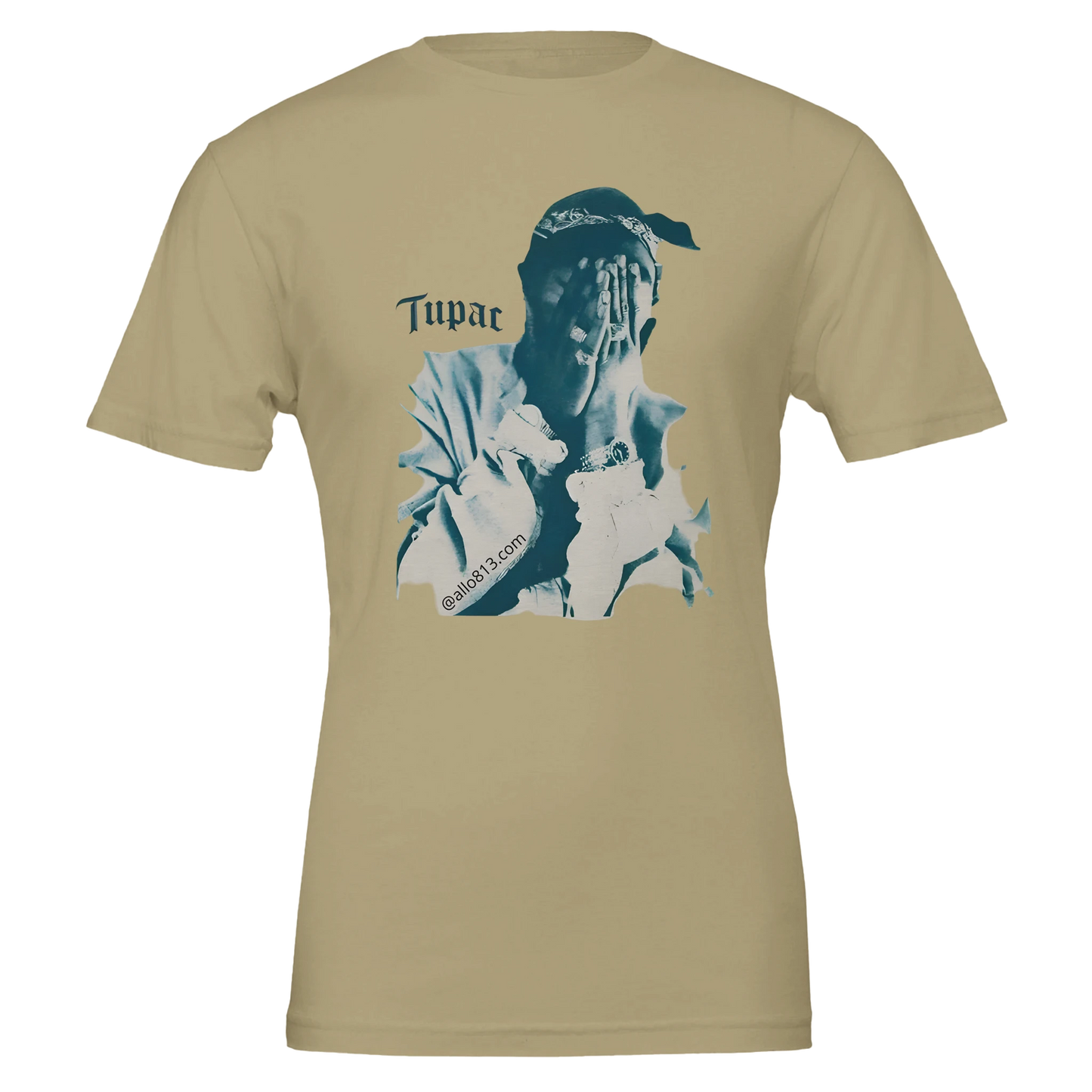 f13423c6-89d1-46c8-9e3c-432109b821f0